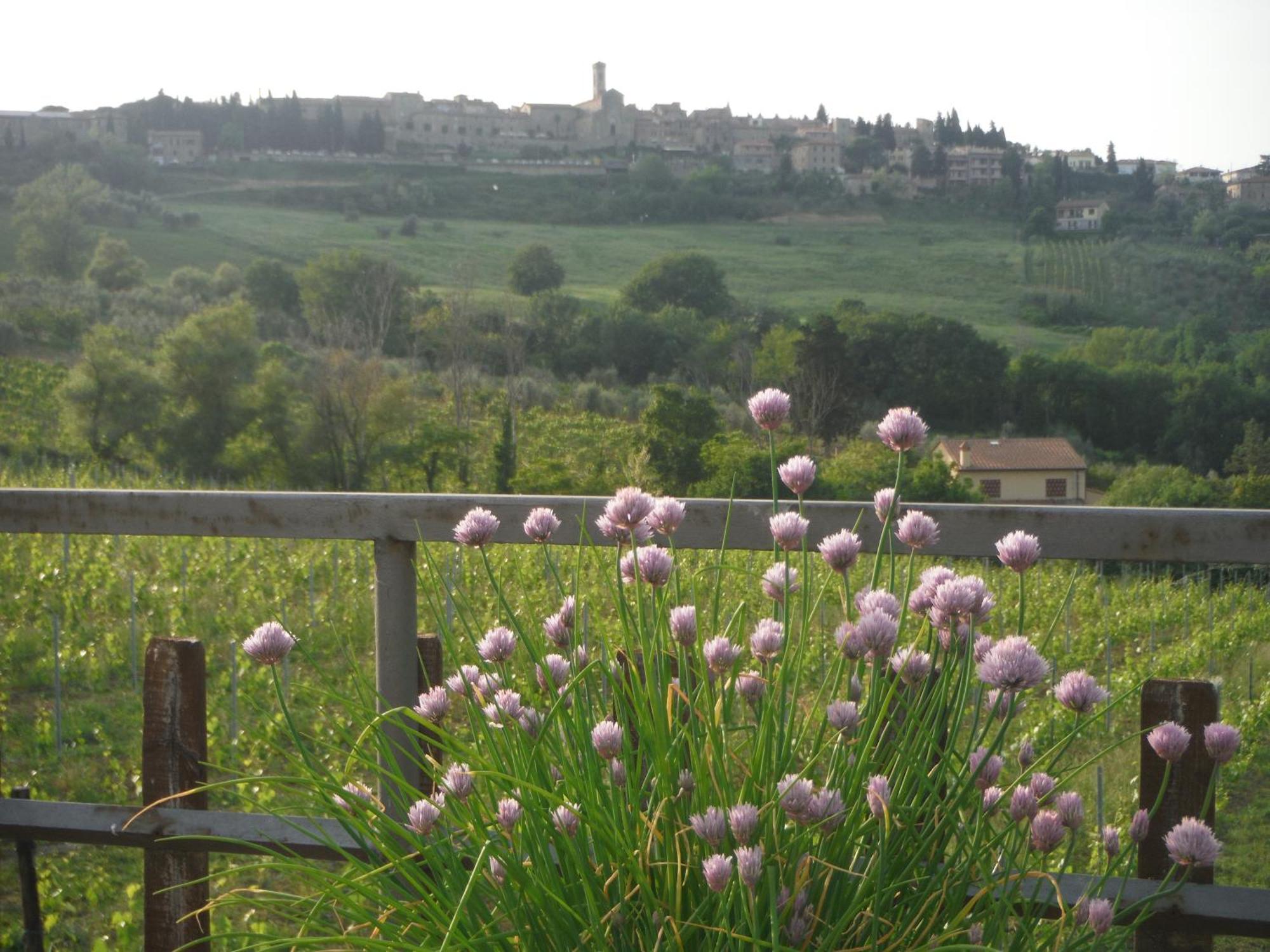 Vila Due Piani Barberino di Val dʼElsa Exteriér fotografie