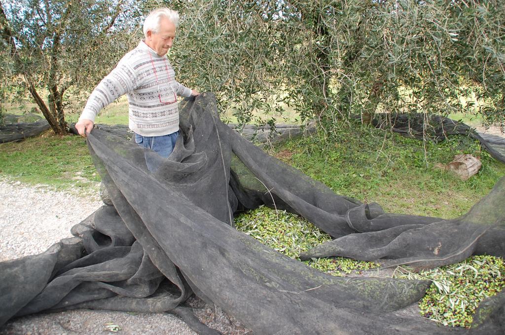 Vila Due Piani Barberino di Val dʼElsa Exteriér fotografie